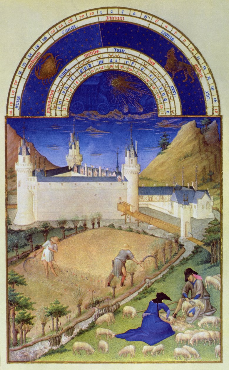 7月的法西斯：收获和剪羊毛，来自&39;Tres Riches Heures du Duc de Berry&39;（原版见8439） 作者 林堡兄弟