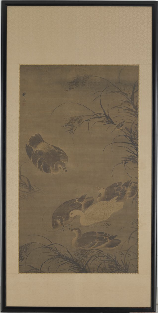 游泳的鹅 作者 林亮
