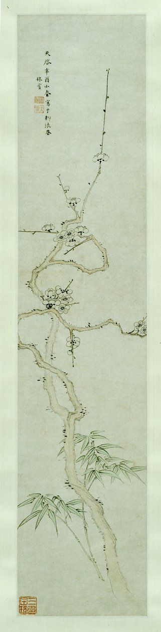 梅花和竹子 作者 林雪