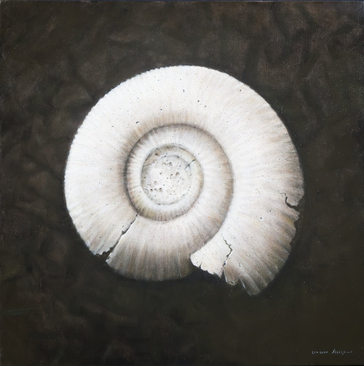 Amononite，2012（丙烯画布） 作者 林肯·塞利格曼