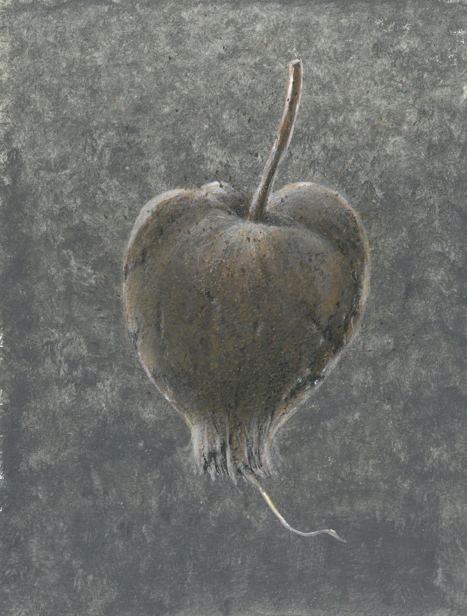 Barringtonia Acutangula（纸上丙烯酸） 作者 林肯·塞利格曼