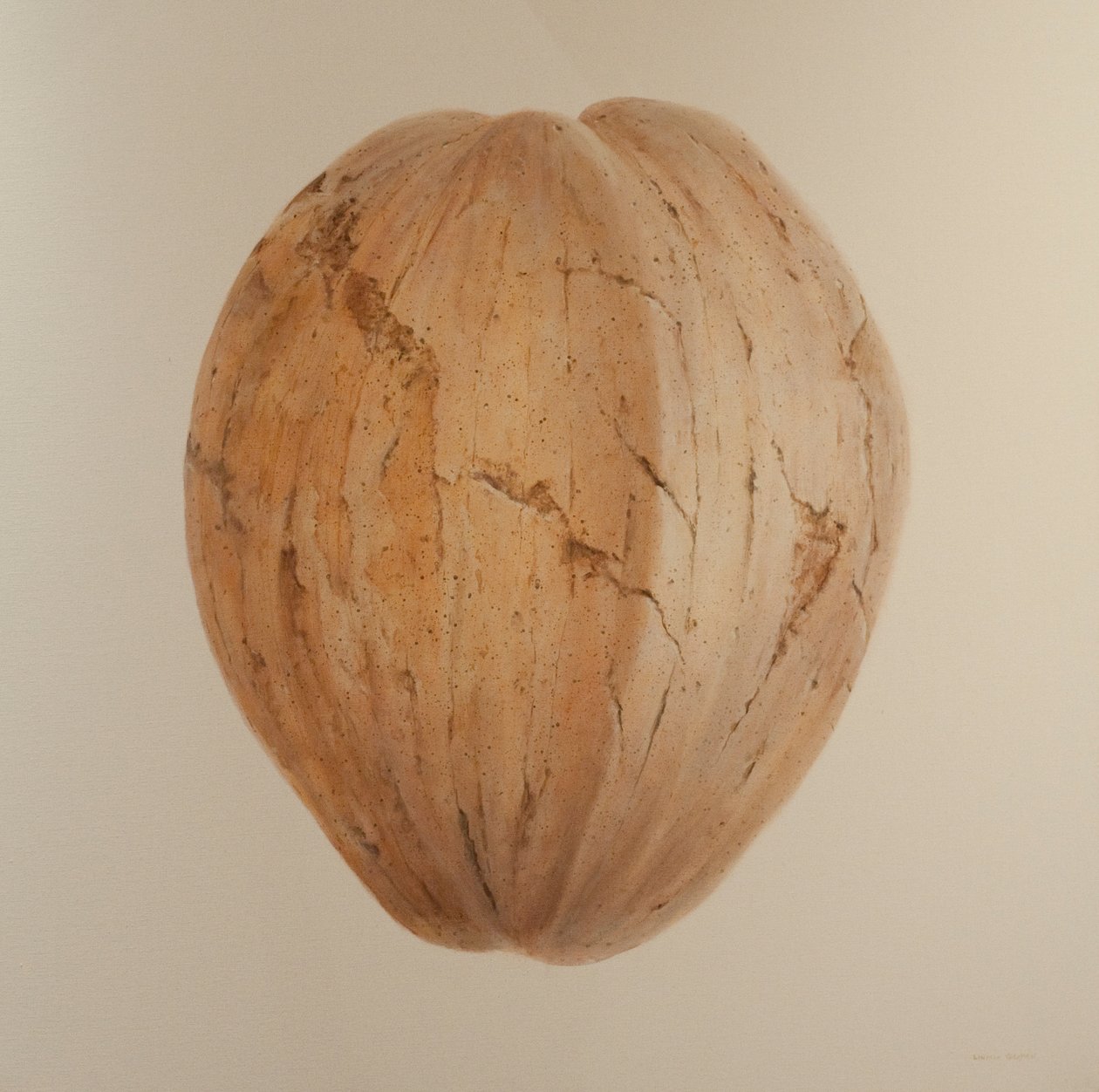 椰子，斯里兰卡，2010（画布上的丙烯酸） 作者 林肯·塞利格曼