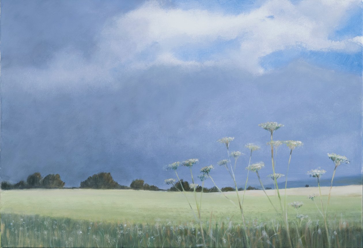 Cow Parsley，2012（画布上的丙烯酸） 作者 林肯·塞利格曼