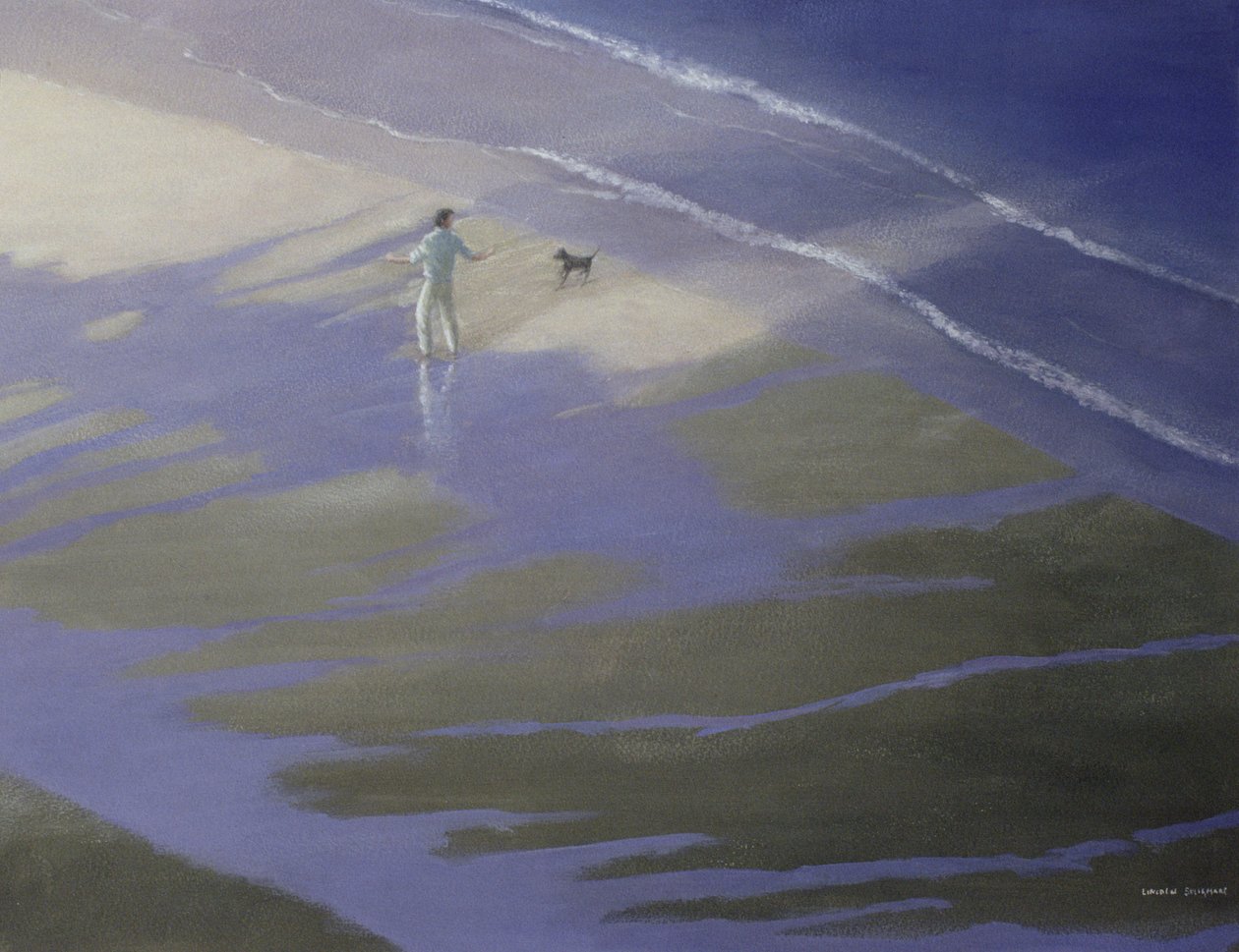 狗步，1985 作者 林肯·塞利格曼