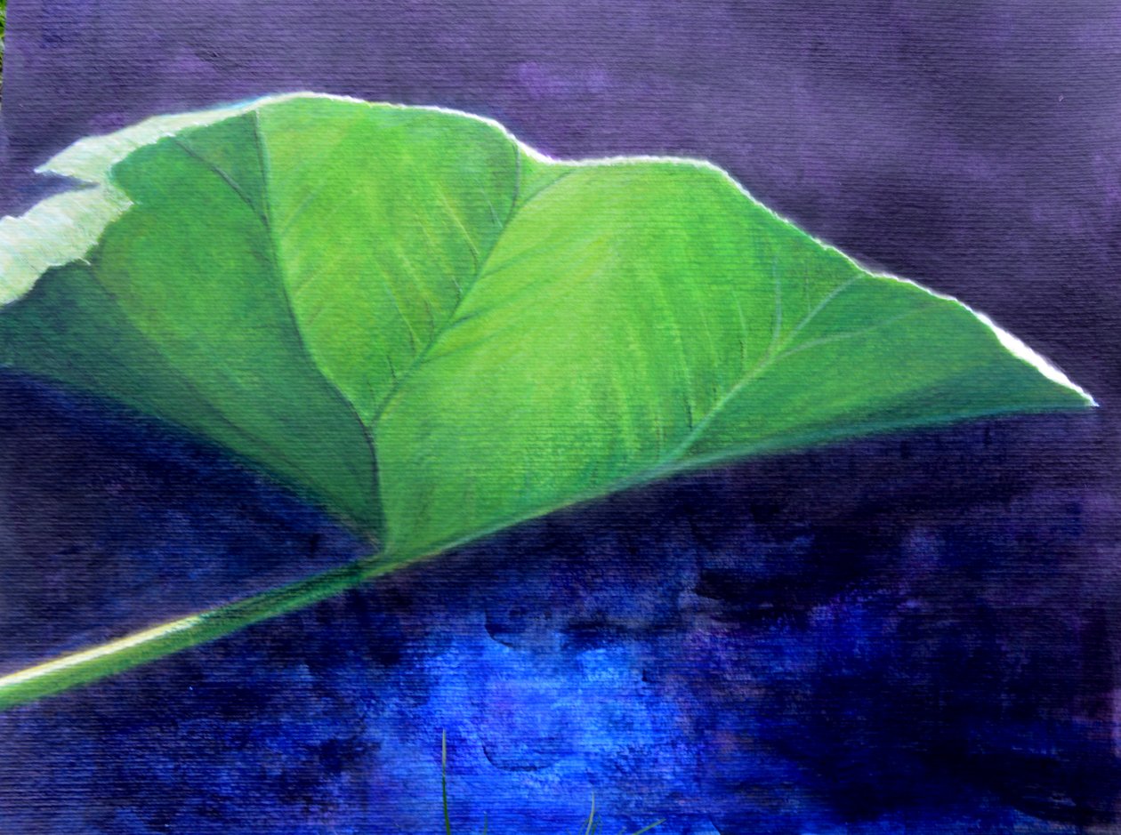 Gunnera Leaf 作者 林肯·塞利格曼