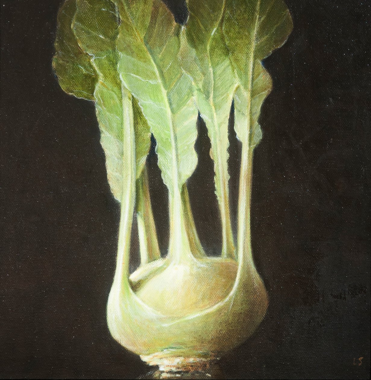 Kohl Rabi，2012（画布上的丙烯酸） 作者 林肯·塞利格曼