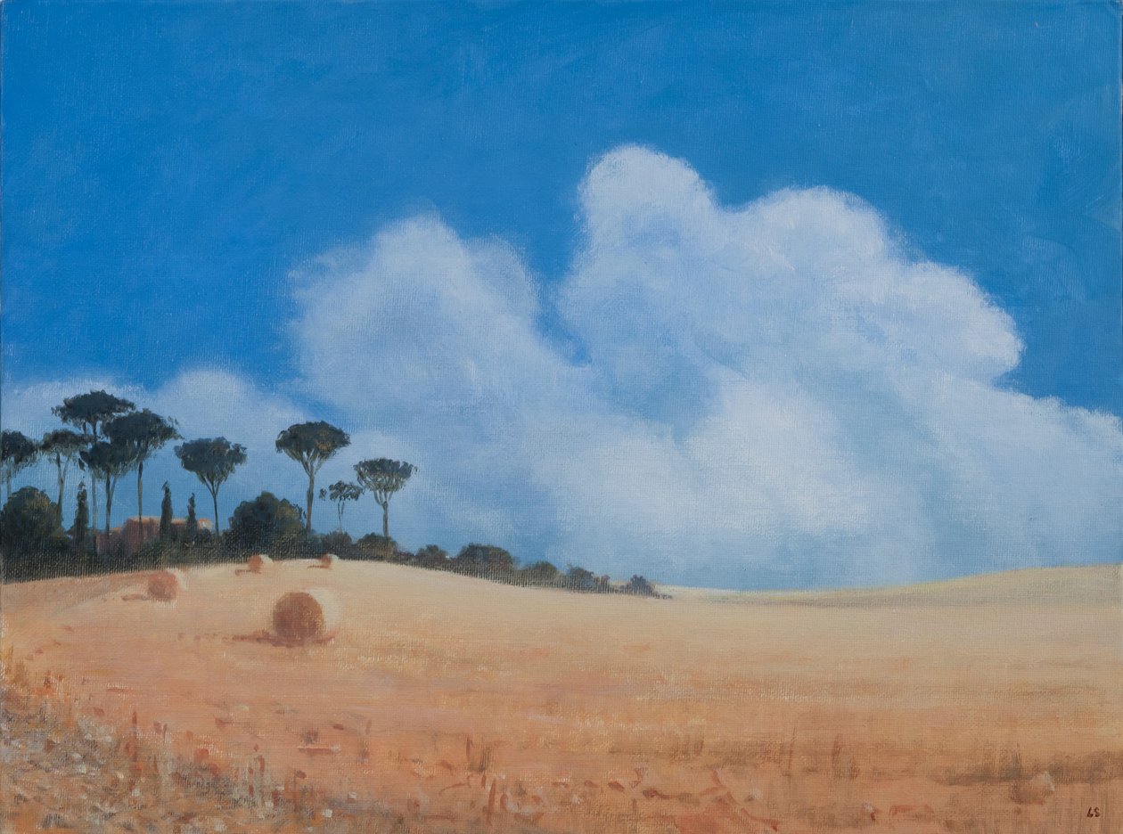 Paganico附近景观，2012年（画布上的丙烯酸） 作者 林肯·塞利格曼