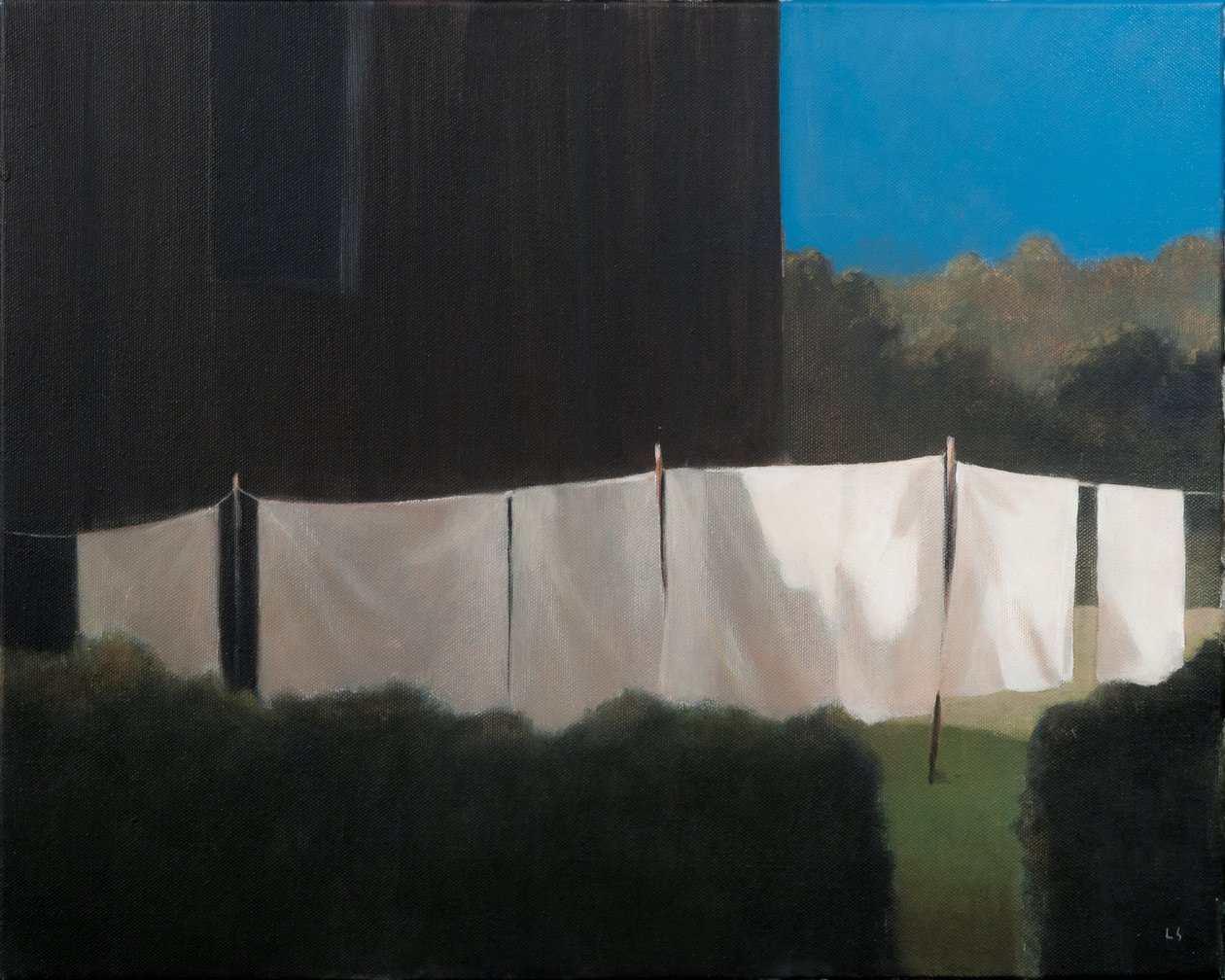 Norma的洗涤，2012年（丙烯画布） 作者 林肯·塞利格曼