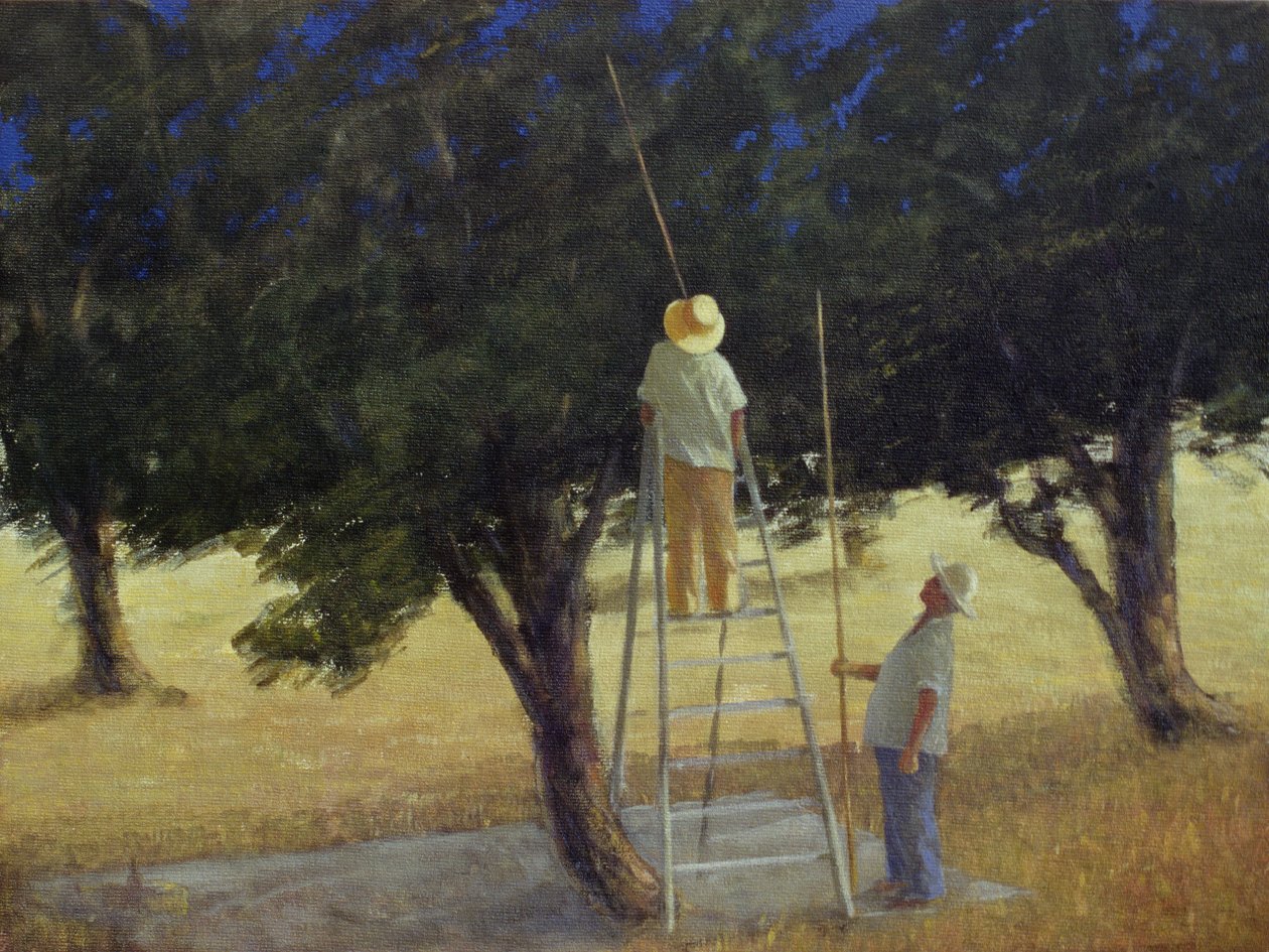 Olive Pickers，1985（画布上的丙烯酸） 作者 林肯·塞利格曼