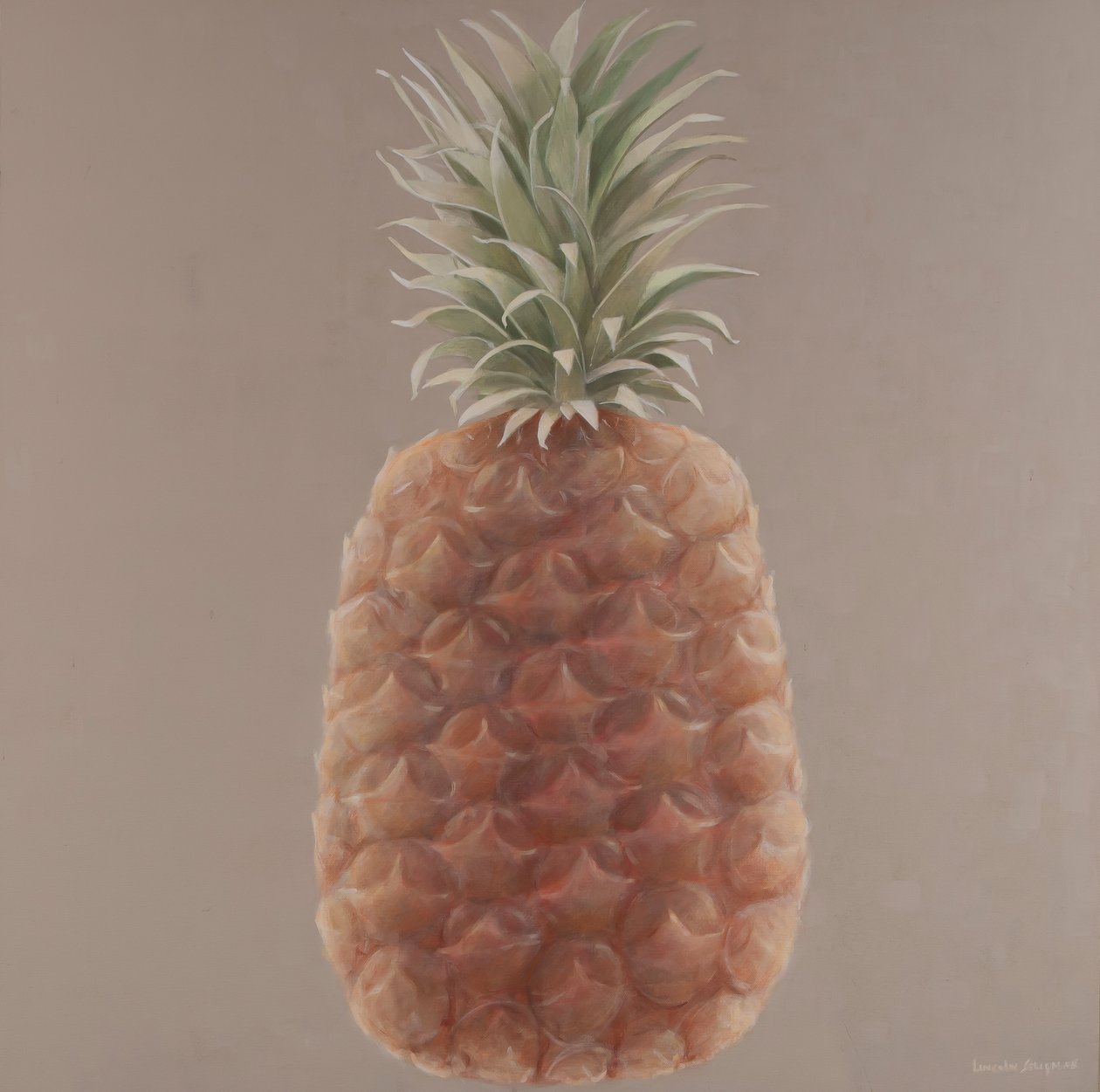 菠萝，2012（画布上的丙烯酸） 作者 林肯·塞利格曼