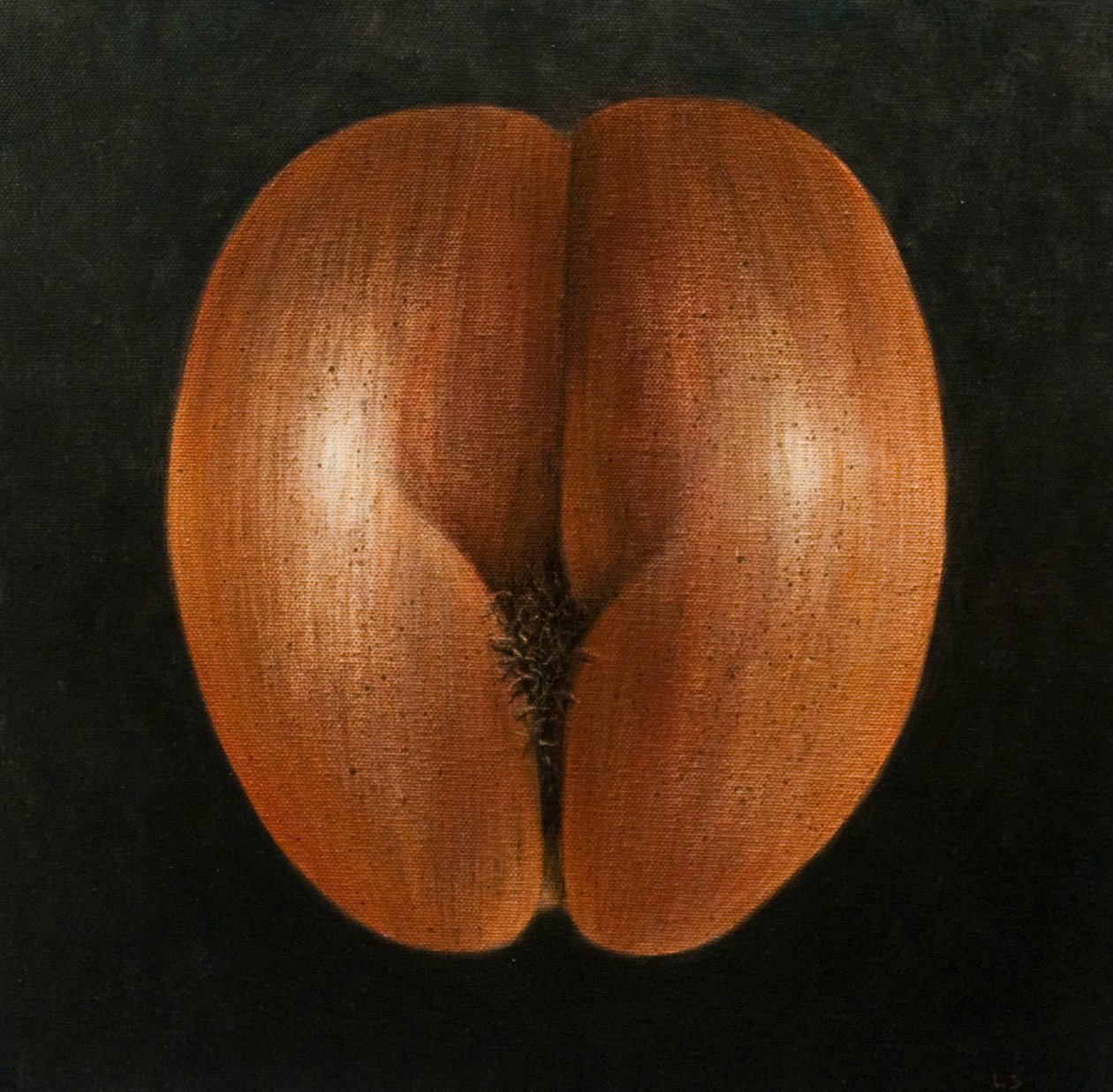 Coco de Mer，2010（画布上的丙烯酸） 作者 林肯·塞利格曼