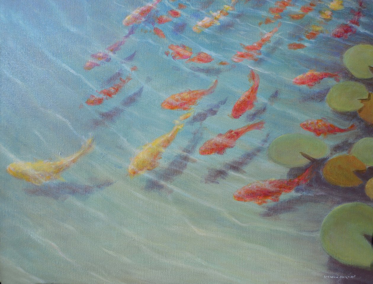 Fishpond 作者 林肯·塞利格曼