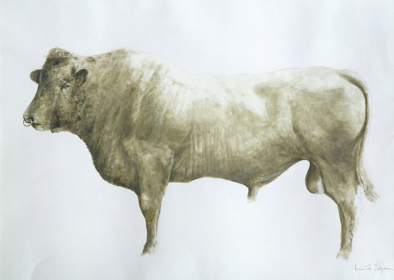 Islay Bull，2004（画布上的丙烯酸） 作者 林肯·塞利格曼