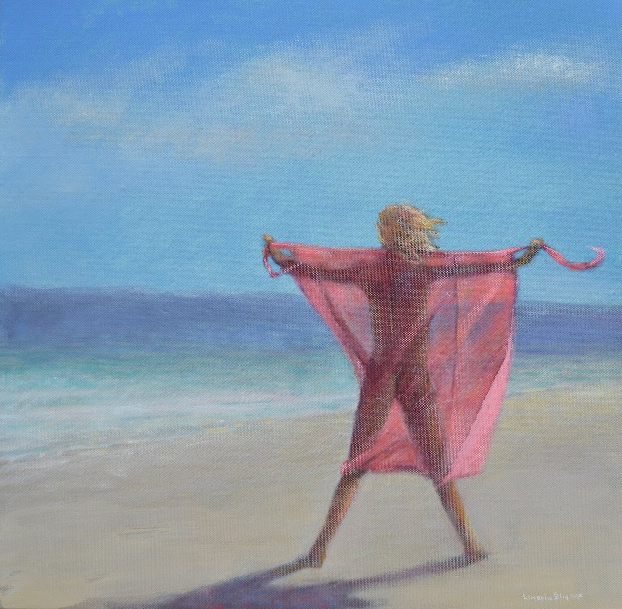 Pink Sari on the Beach 作者 林肯·塞利格曼
