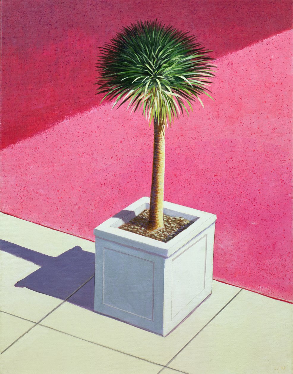 小棕榈，1995年（画布上的丙烯酸） 作者 林肯·塞利格曼