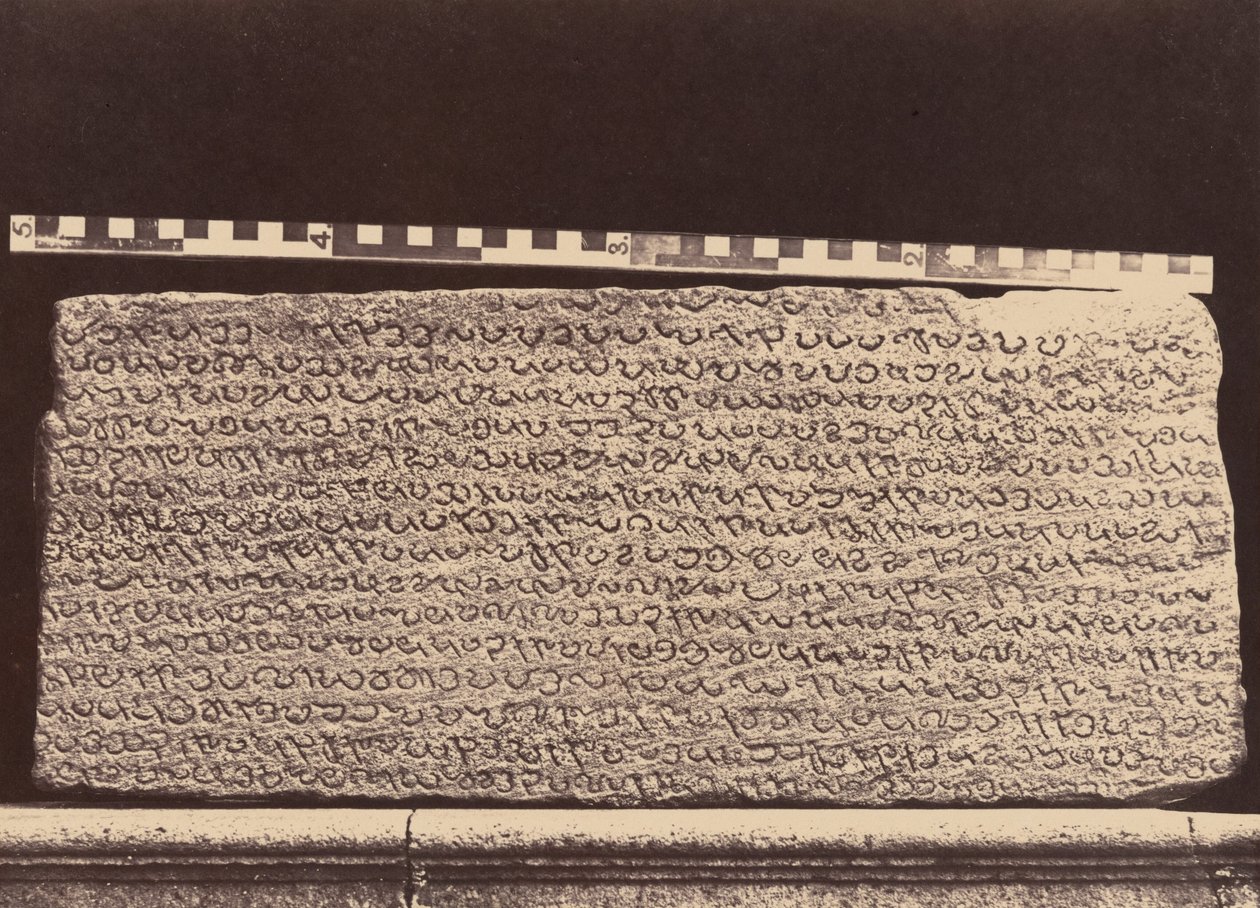 埃利奥特大理石，1859 年（照片） 作者 林奈牛肚