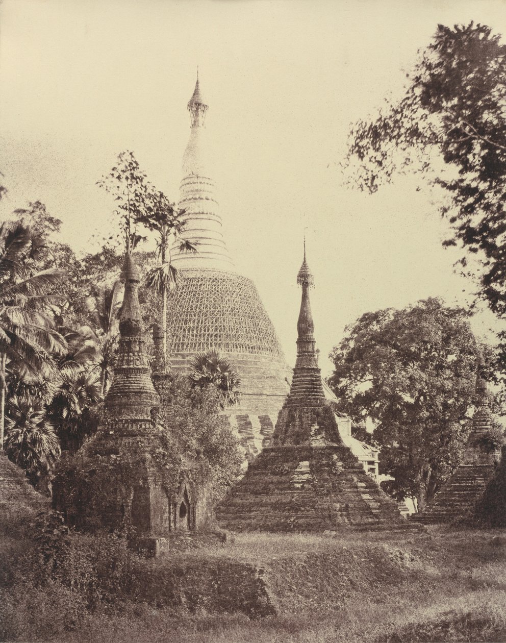 仰光：瑞达贡塔近景，1855 年 11 月（照片） 作者 林奈牛肚