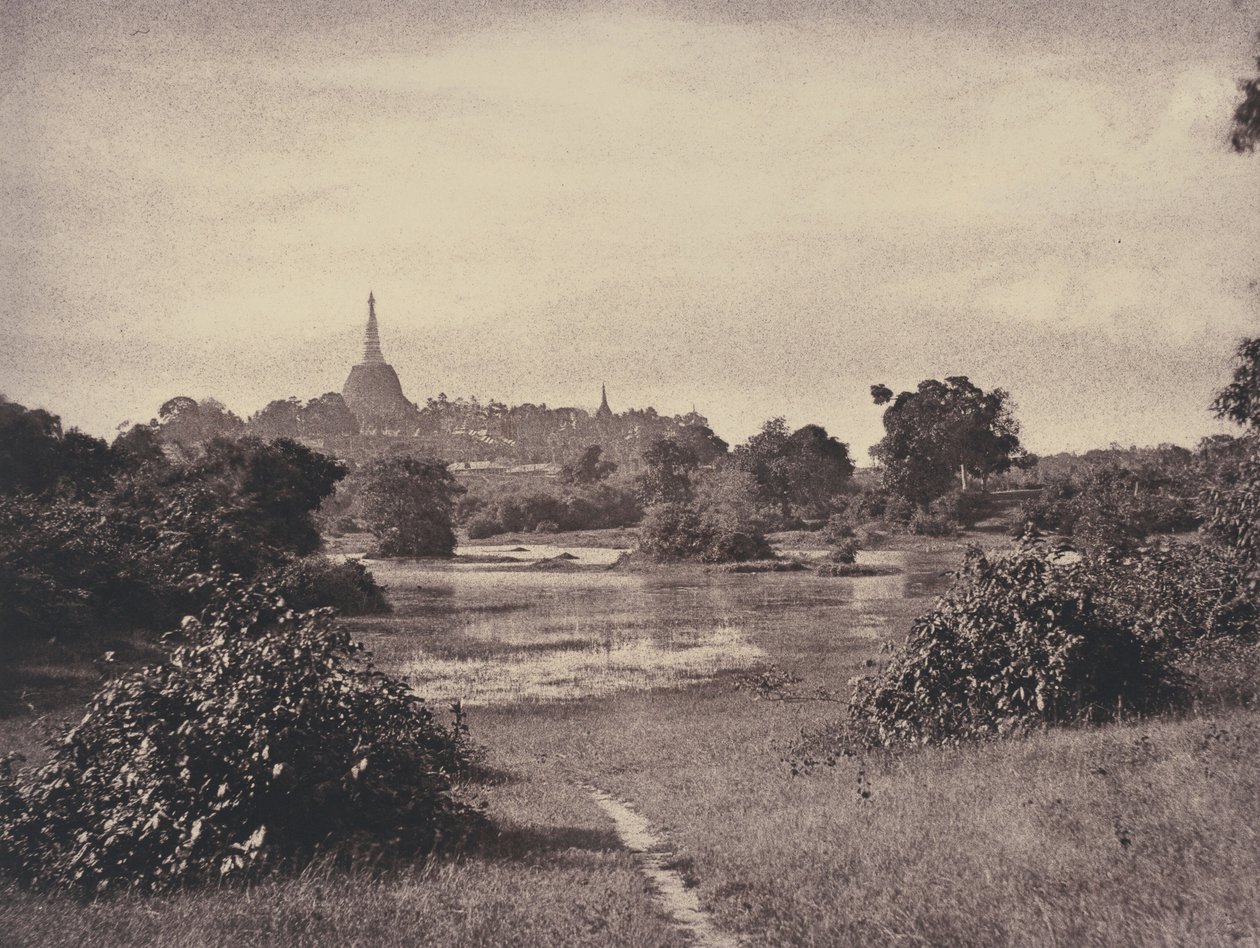 仰光：湖边景色，1855 年 11 月（照片） 作者 林奈牛肚