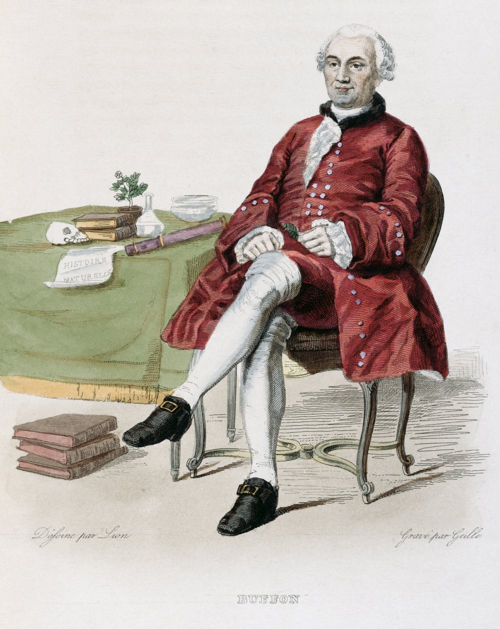 Monsieur de Buffon（1707-88）来自E. Mennechet的&39;The French Plutarch&39;，1835年 作者 雄狮