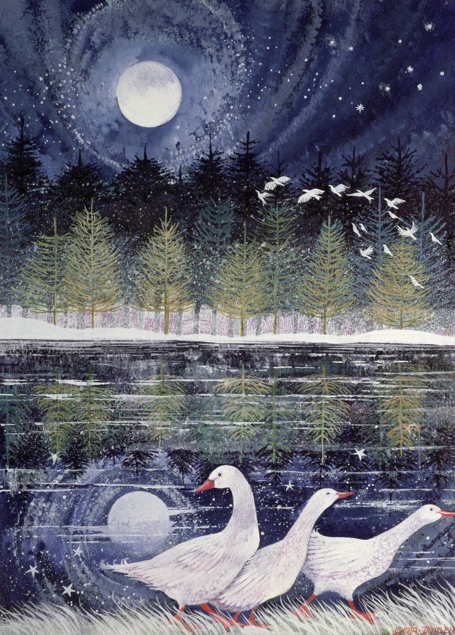 Snow Geese，1995（丙烯酸墨水，水粉） 作者 丽莎·格拉·詹森