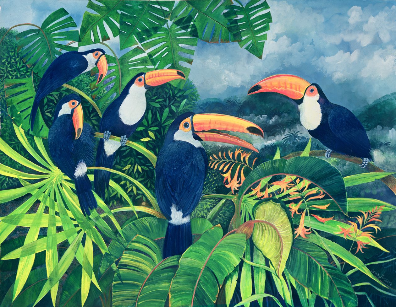 Toucan Talk（纸上的水粉和水粉） 作者 丽莎·格拉·詹森