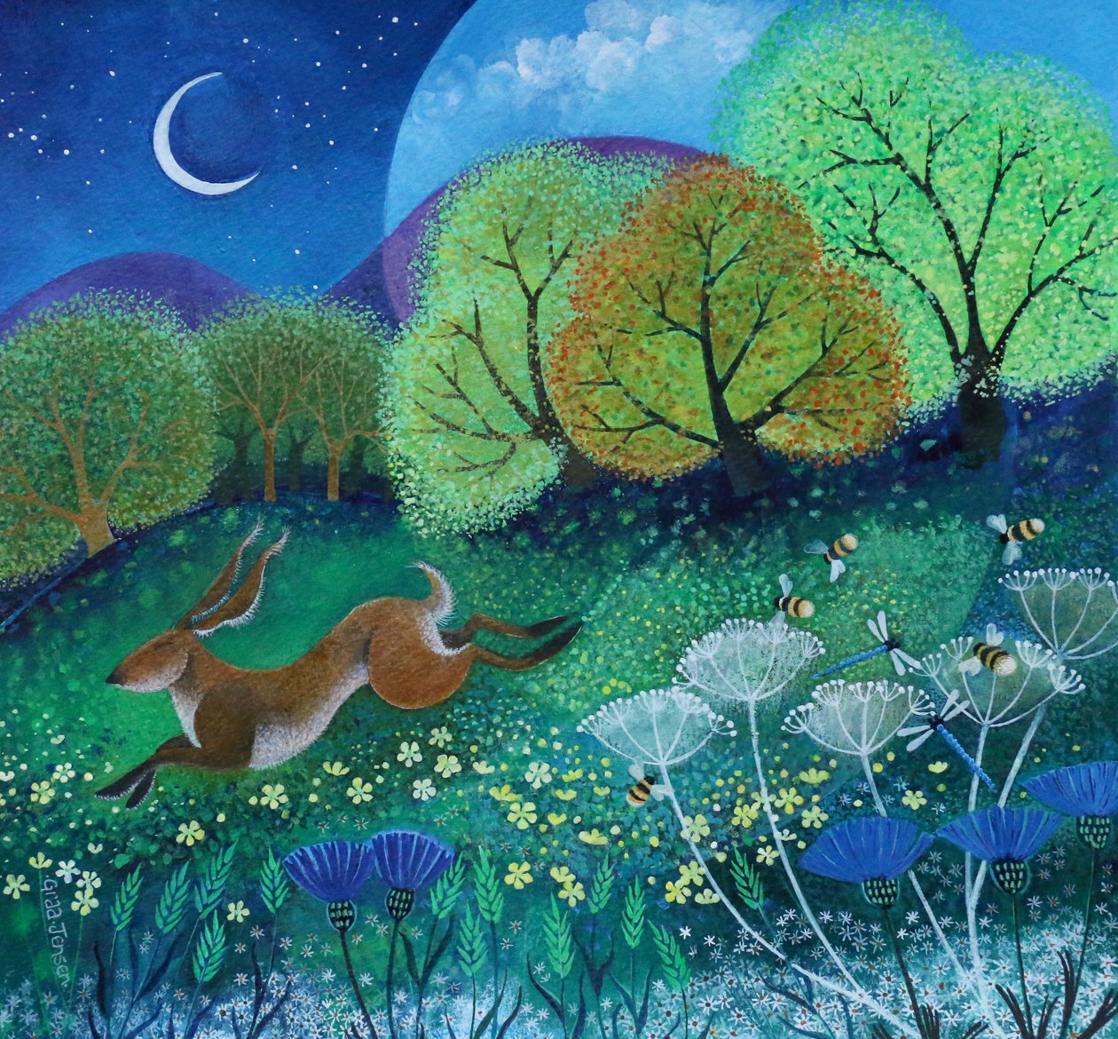 Leapy Hare, 2019 作者 丽莎·格拉·詹森