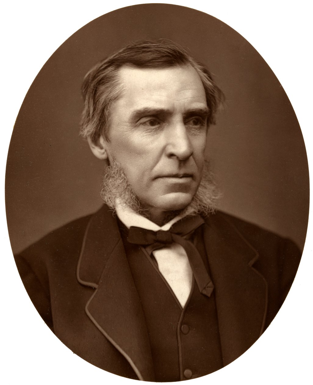 英国历史学家詹姆斯·安东尼·弗洛德（James Anthony Froude），1876年。 作者 洛克和惠特菲尔德
