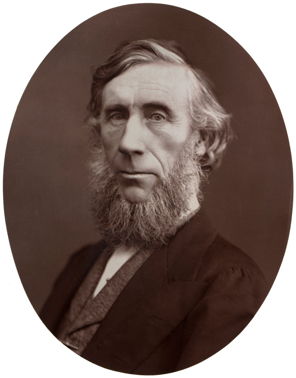 约翰·廷德尔（John Tyndall），DCL，LLD，FRS，英国皇家学会自然哲学教授，1877年。 作者 洛克和惠特菲尔德
