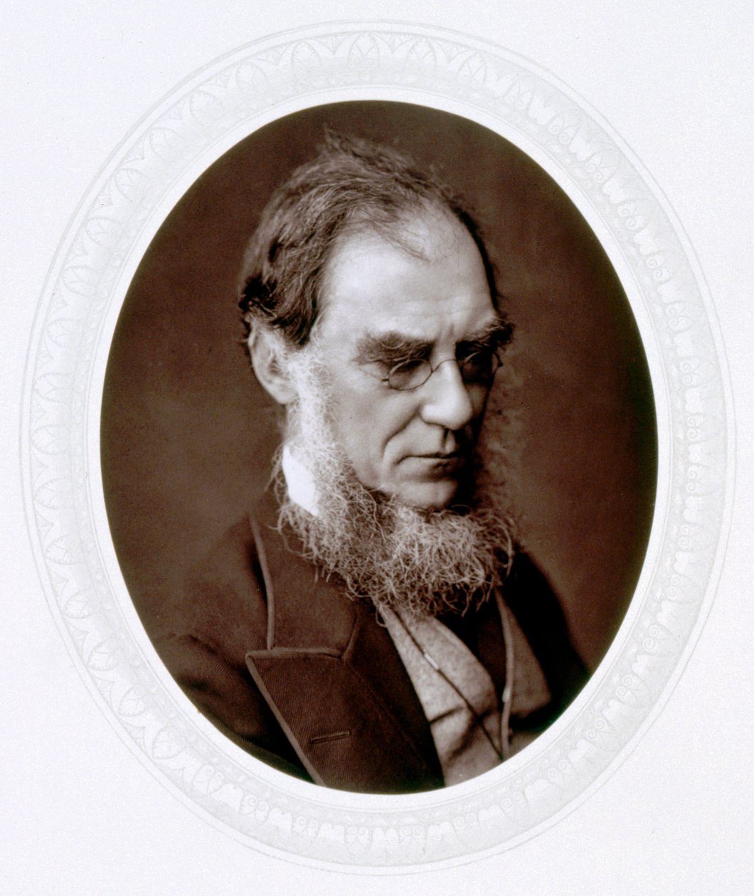 英国植物学家约瑟夫·道尔顿·胡克（Joseph Dalton Hooker），c1880 作者 洛克和惠特菲尔德