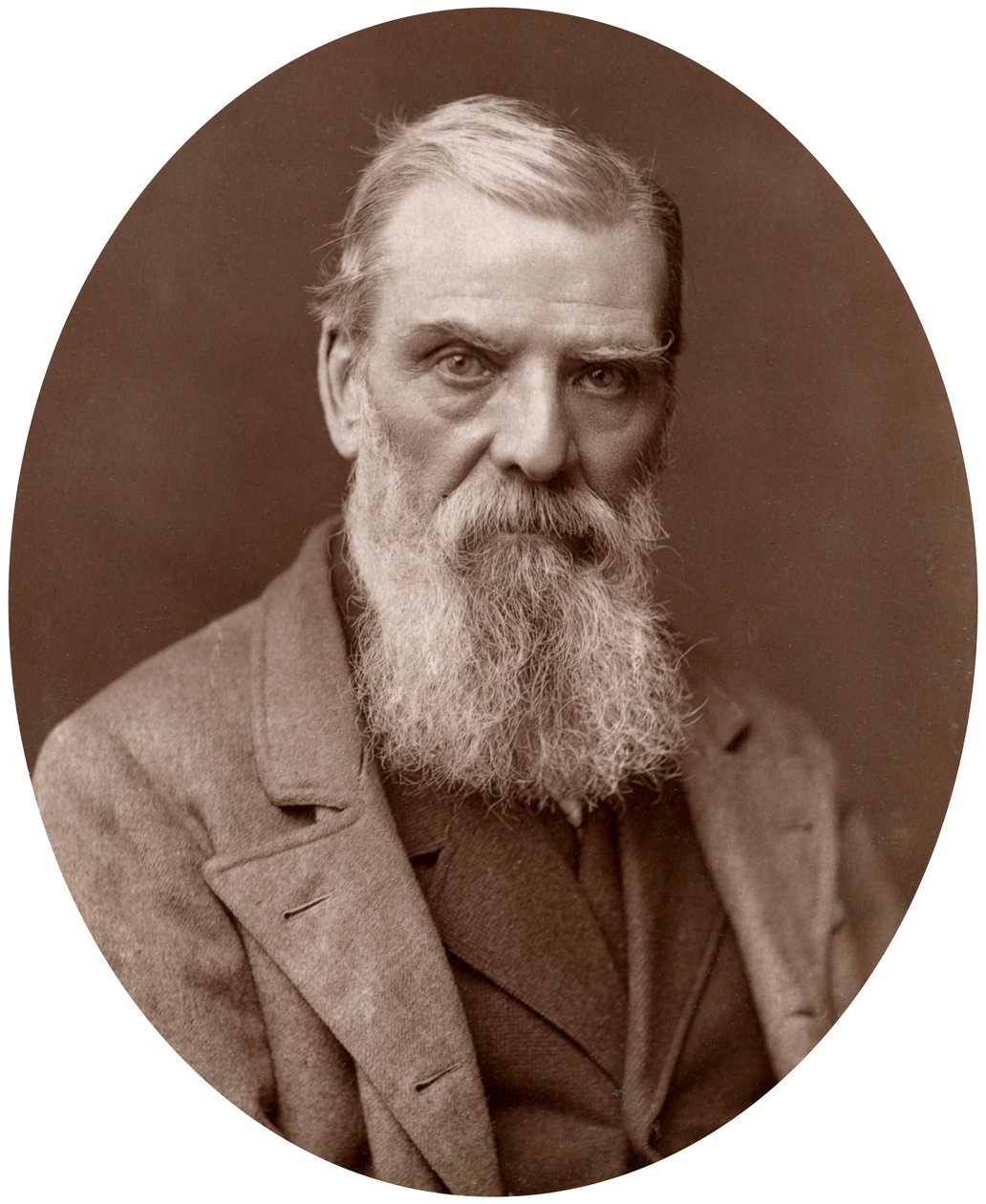 理查德·安斯德尔（Richard Ansdell），RA，英国画家，1883年。 作者 洛克和惠特菲尔德