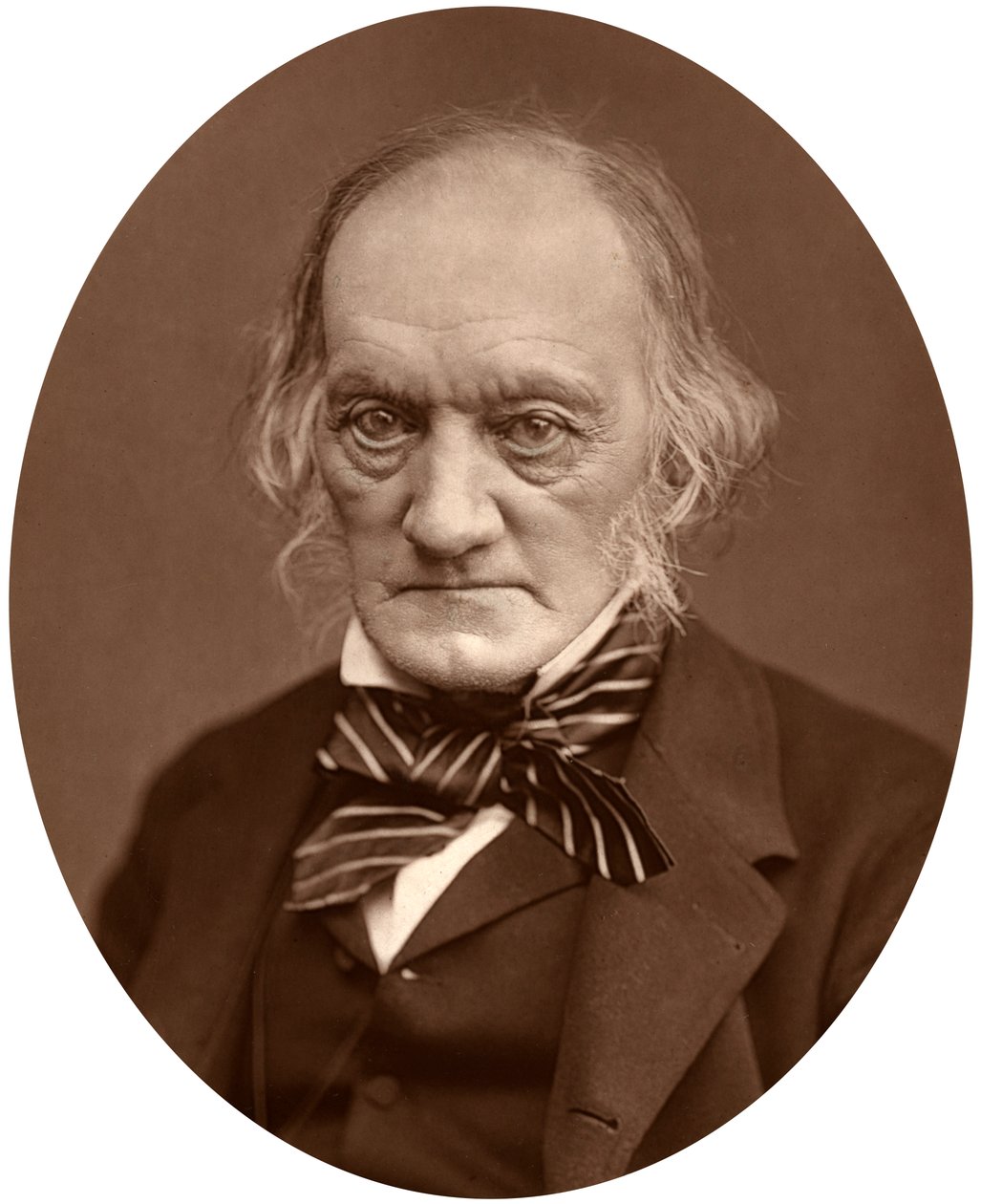 理查德·欧文（Richard Owen），1878年。 作者 洛克和惠特菲尔德