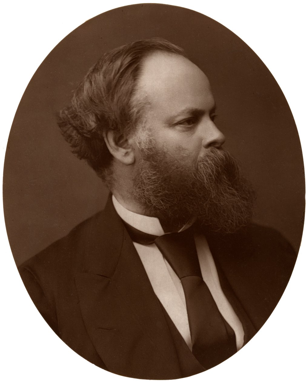塞缪尔·普利姆索尔（Samuel Plimsoll），Esq，国会议员，英国自由党政治家和社会改革家，1876年。 作者 洛克和惠特菲尔德