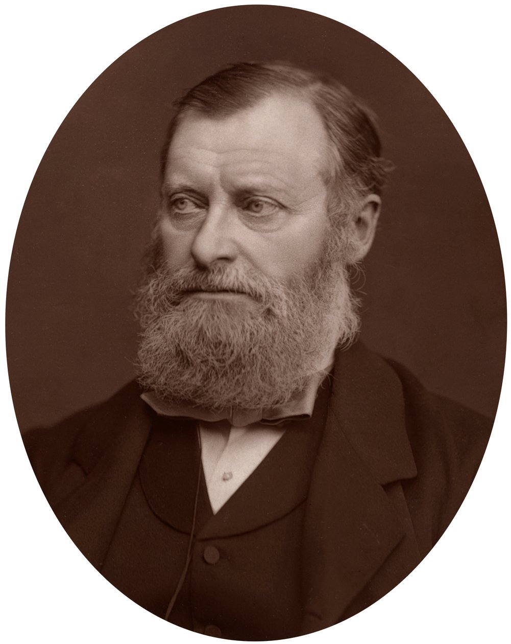 威廉·爱德华·福斯特（William Edward Forster）议员，1878年。 作者 洛克和惠特菲尔德