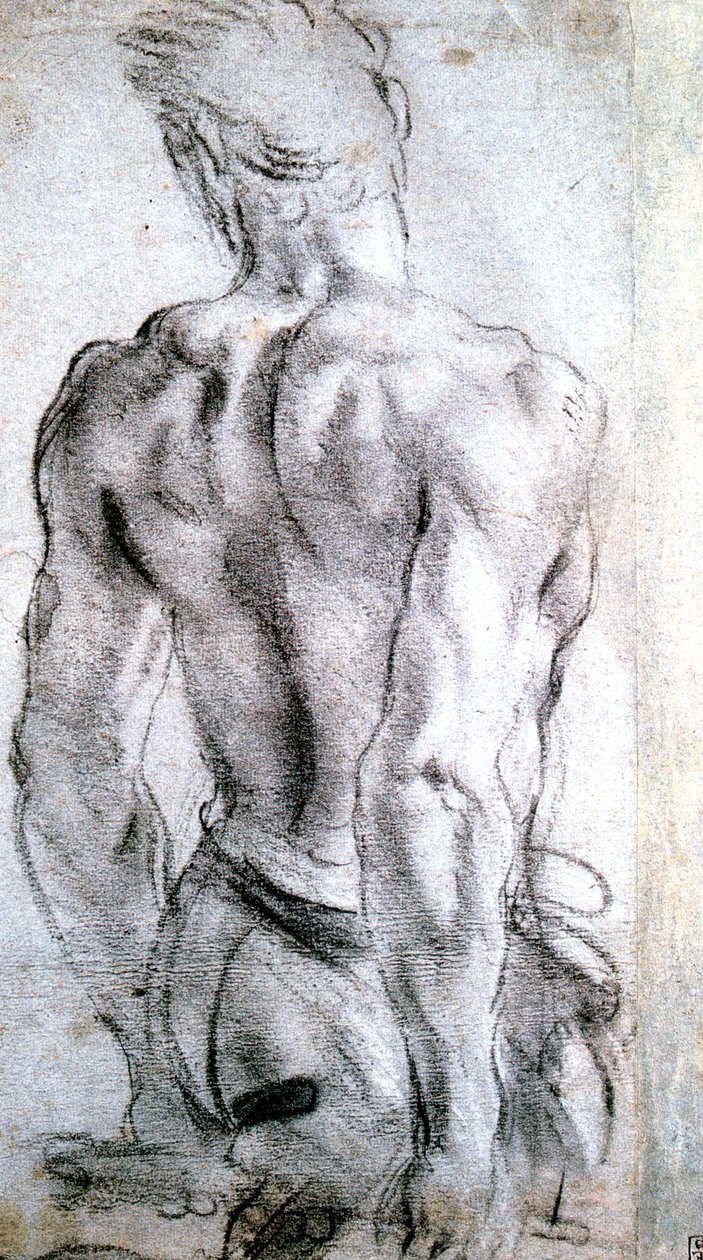 人物研究，c1560-1609 作者 洛多维科·卡拉奇