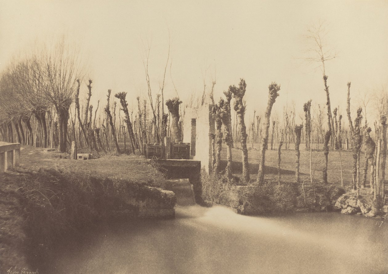 风景，蒙特贝罗，约1860年。 作者 莱昂·热拉尔