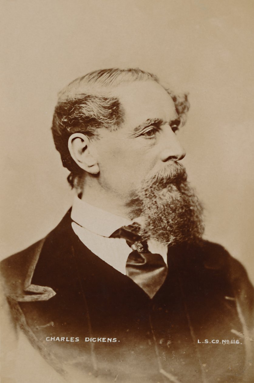 查尔斯·狄更斯（Charles Dickens），1867年。 作者 伦敦立体摄影公司