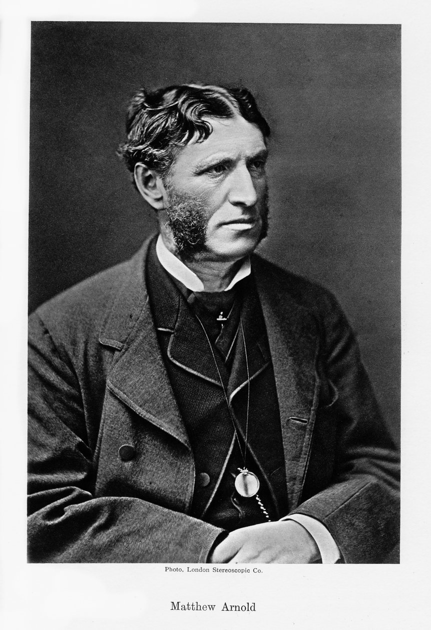 马修·阿诺德（Matthew Arnold），c1880年代的英国诗人和文化评论家。 作者 伦敦立体摄影公司