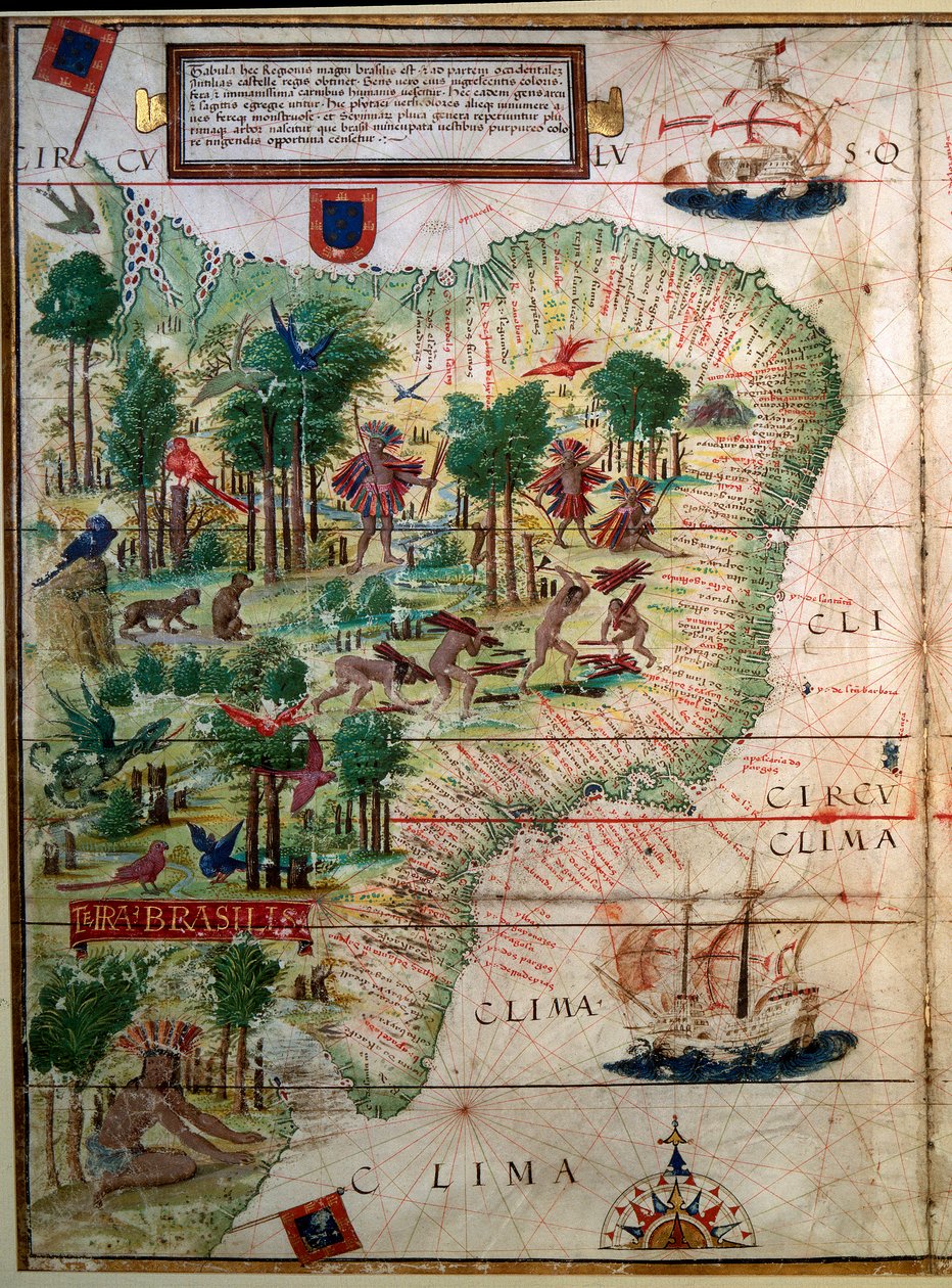 巴西的水文地图。 制图师 Loppo Homem 于 1519 年于巴黎绘制的手稿《葡萄牙航海图集》。 B.N. 作者 洛波之家