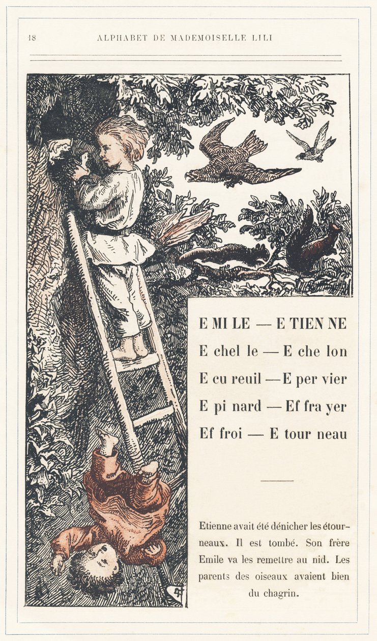 Emile、Etienne、Echelle、Echelon、Squirrel、Sparrow、Epinard、Scarer、Farry、Stourneau，第 18 页 - Lili 小姐、L. Froelich 和一位父亲（Hetzel 本人）的字母表。巴黎 J. Hetzel  Cie 图书馆和教育与娱乐杂志社 作者 洛伦兹·弗罗利希