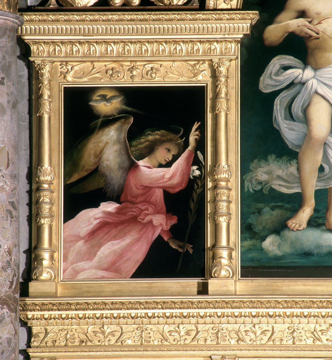 天使报喜天使，详细信息来自San Giovanni Battista的Polyptych，c.1525 作者 洛伦佐·乐透（Lorenzo Lotto）