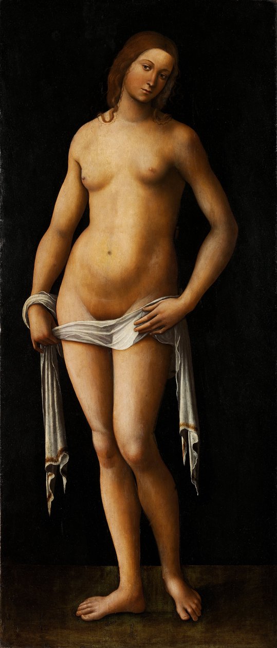 Venus - Peinture de Lorenzo Costa (1460-1535) - 1515-1517 - Oil on wood - 174x76 - Szepmuveszeti Muzeum, Budapest 作者 洛伦佐·科斯塔（Lorenzo Costa）