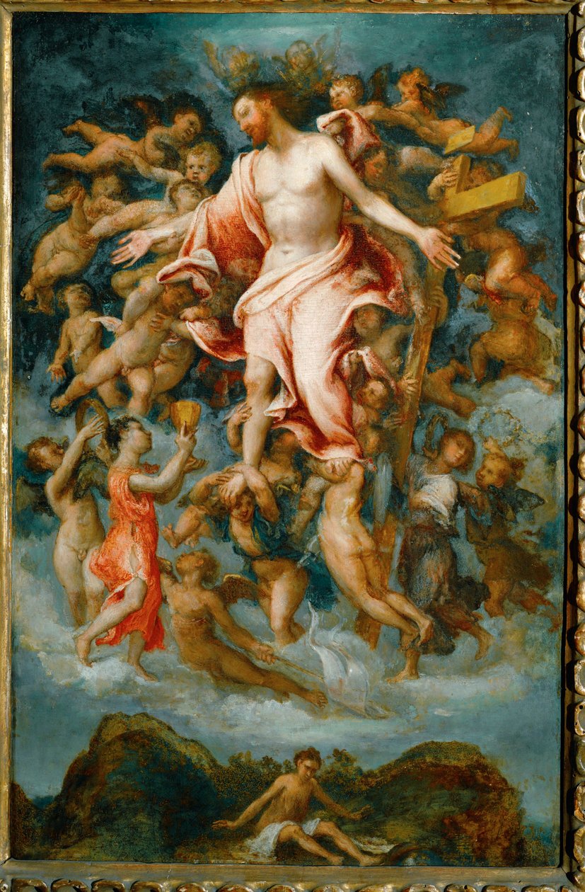  作者 洛伦佐·乐透（Lorenzo Lotto）