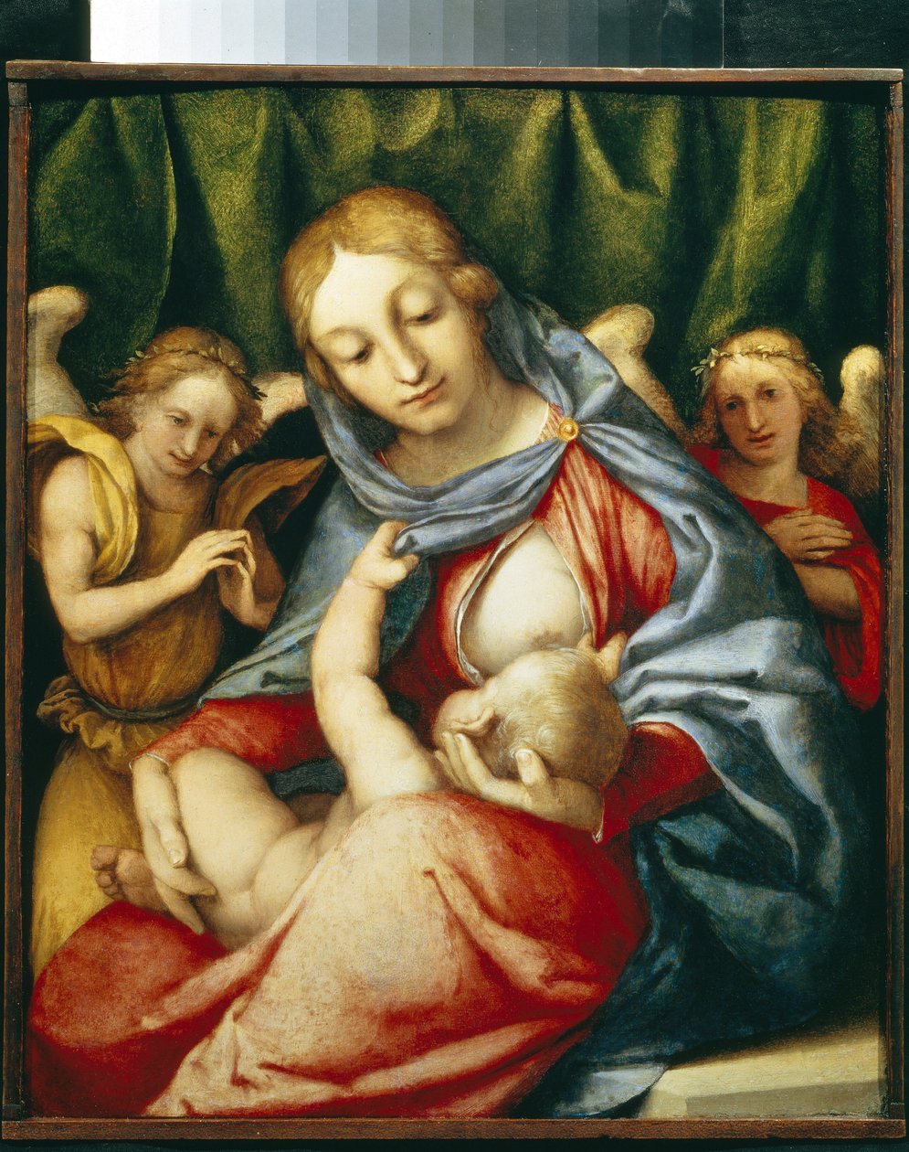 哺乳的圣母（Madonna del latte）。洛伦佐-洛托（1480-1556 年）的画作，布面油画，约 1520 年。 意大利艺术（威尼斯） 作者 洛伦佐·乐透（Lorenzo Lotto）