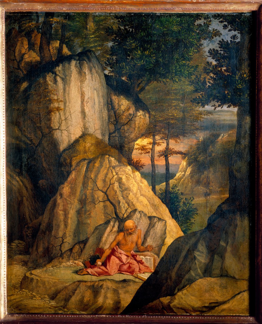 圣杰罗姆在沙漠中冥想。 洛伦佐·洛托 (Lorenzo Lotto) 的绘画 (1480 - 1556) Ec。 意大利语。 作者 洛伦佐·乐透（Lorenzo Lotto）