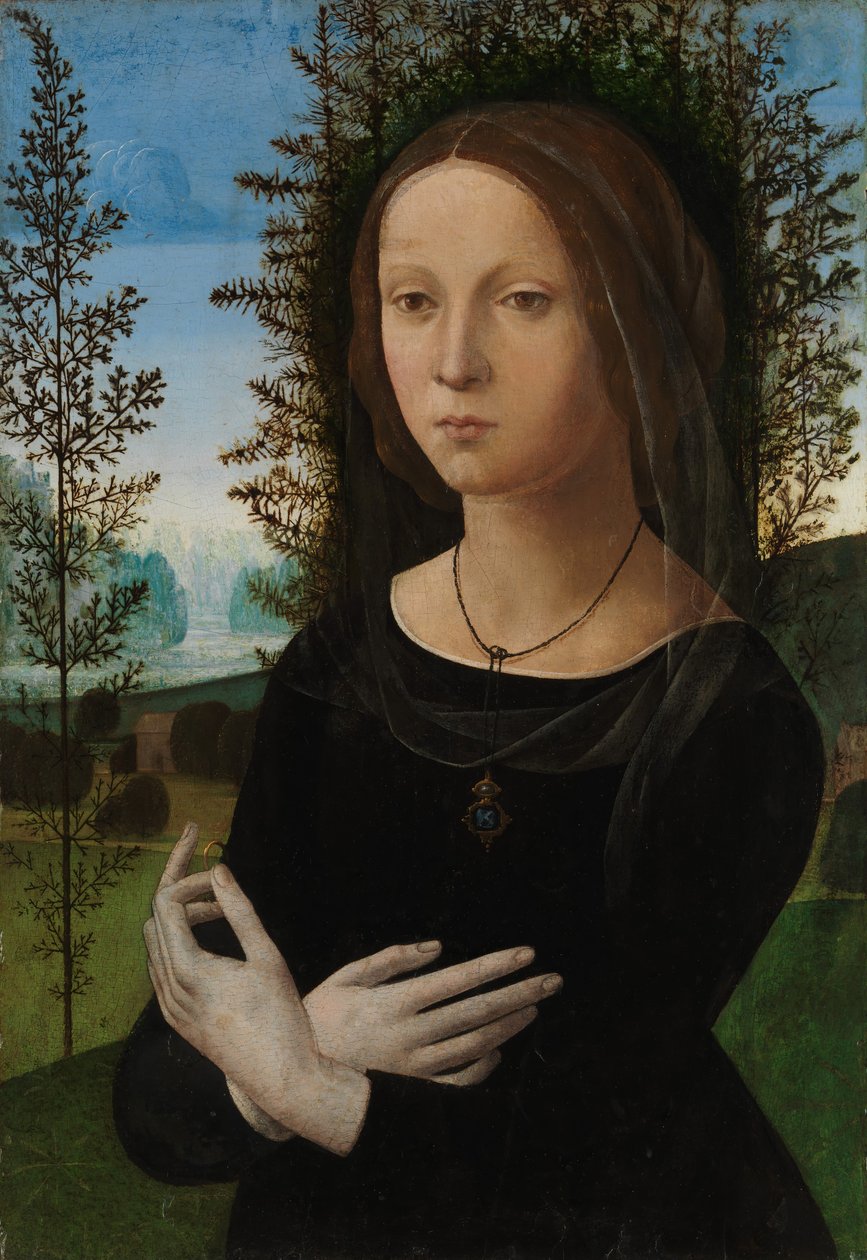 一名年轻女子的画像，ca。 1490-1500。 作者 洛伦佐·迪·克雷迪