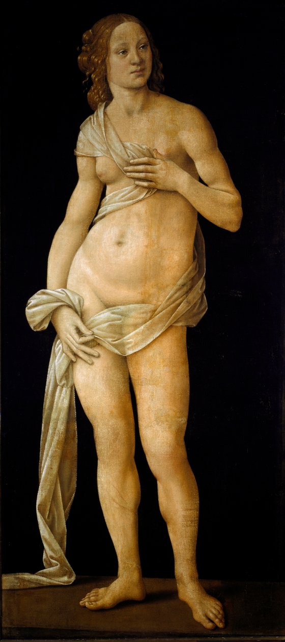 Venus (tempera on wood, c.1490) 作者 洛伦佐·迪·克雷迪