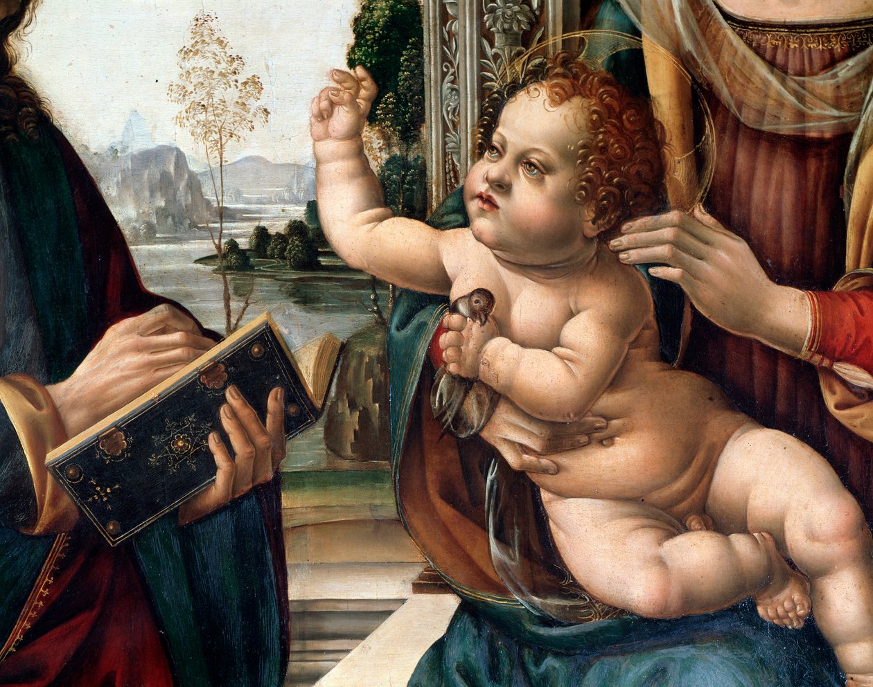 Virgin with child and two saints, st Matthew and st Jerome (Virgin with child and two saints, st Matthew and st Jerome) Detail Painting by Lorenzo di Credi (1459-1537) Florence, church santo Spirito Italy 作者 洛伦佐·迪·克雷迪
