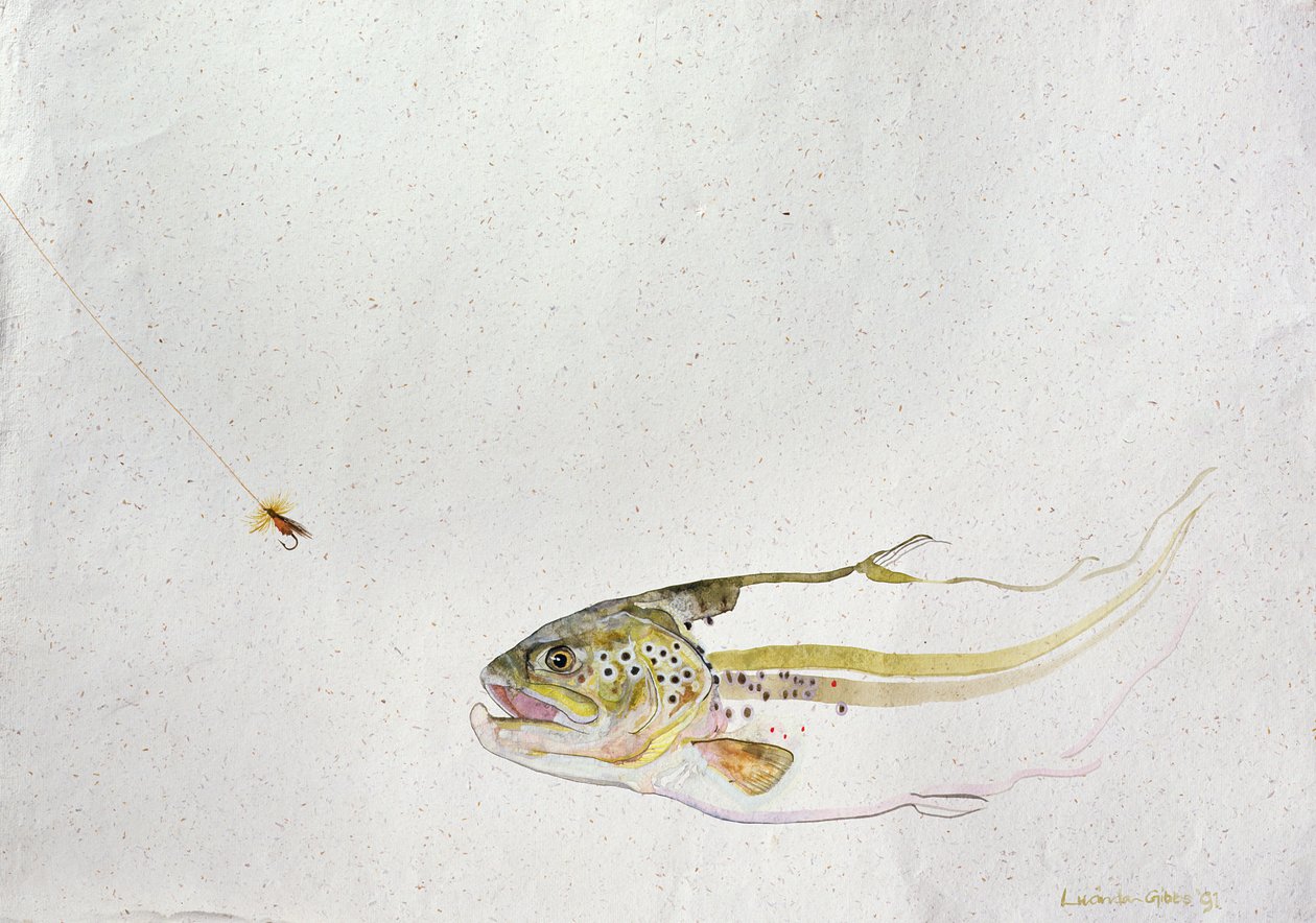 鳟鱼追逐渔夫的苍蝇，1991年，（手工纸上的水彩画） 作者 卢·吉布斯