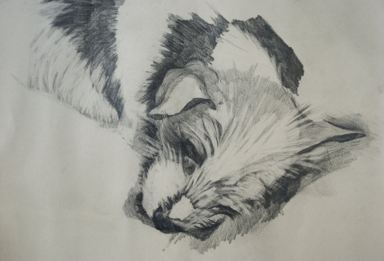 Jack Russel，2015， 作者 卢·吉布斯