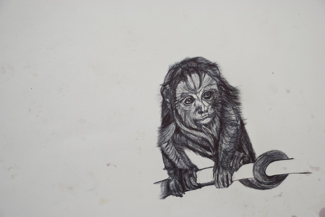 Monkey Business，2016，（纸上的比比罗） 作者 卢·吉布斯